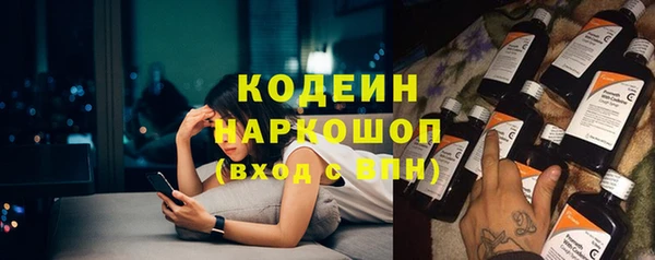 индика Анива