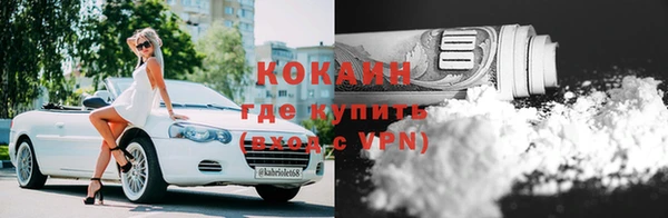индика Михайловск