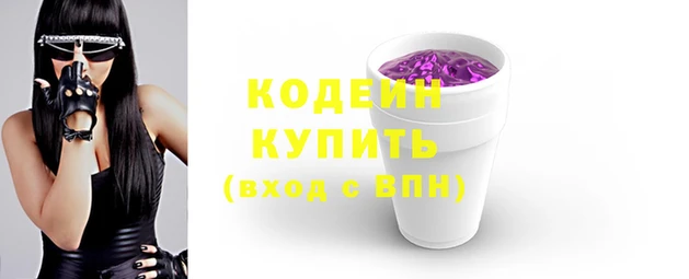 индика Михайловск