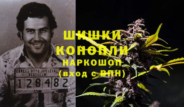 индика Михайловск