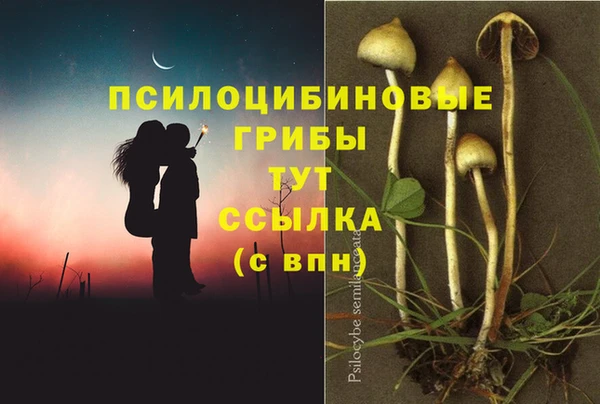 не бодяженный Михайлов