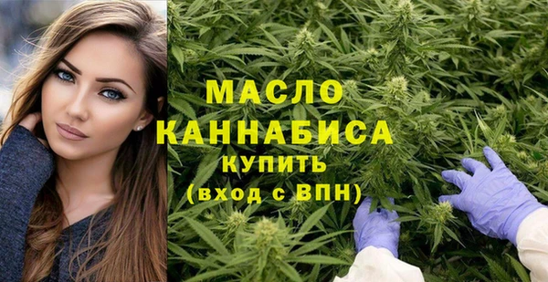 индика Михайловск