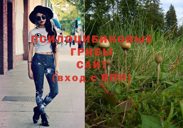 не бодяженный Михайлов