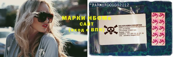 индика Михайловск