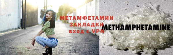 индика Михайловск